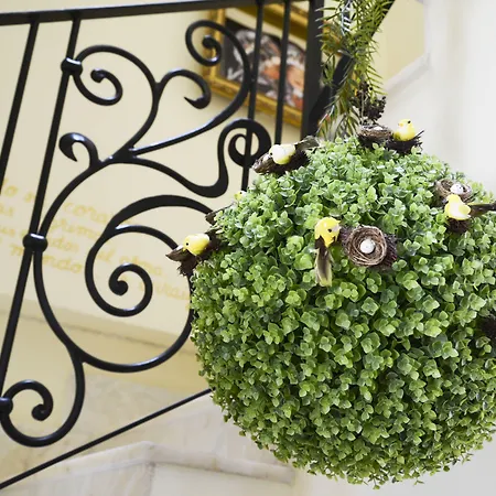 게스트하우스 Residencial Terra De Mar Calpe, Grupo Terra De Mar, Con Encanto